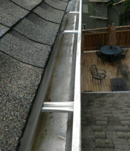 SERVICIOS gutter cleaning